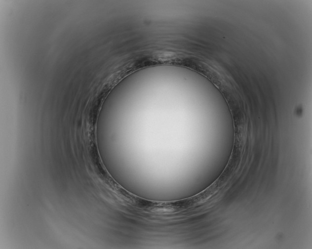 X0000089730653200706210917