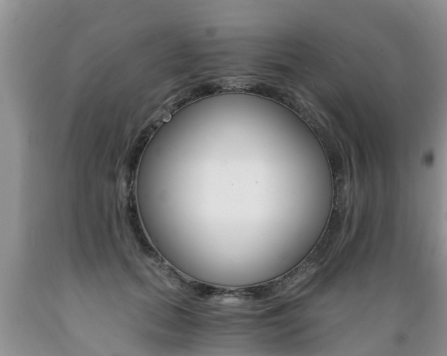 X0000089730655200706210917