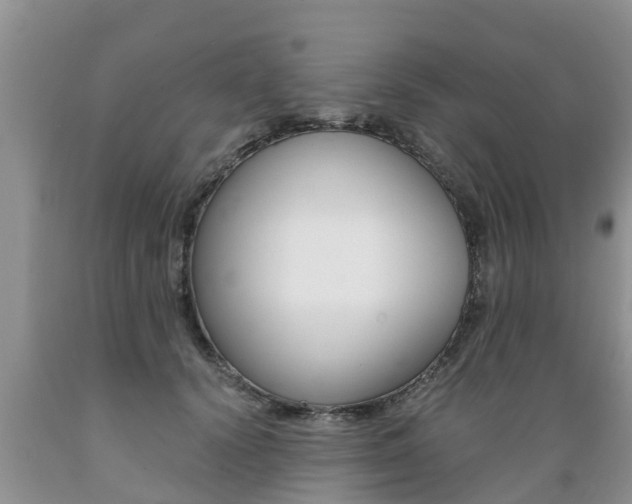 X0000089730656200706210917