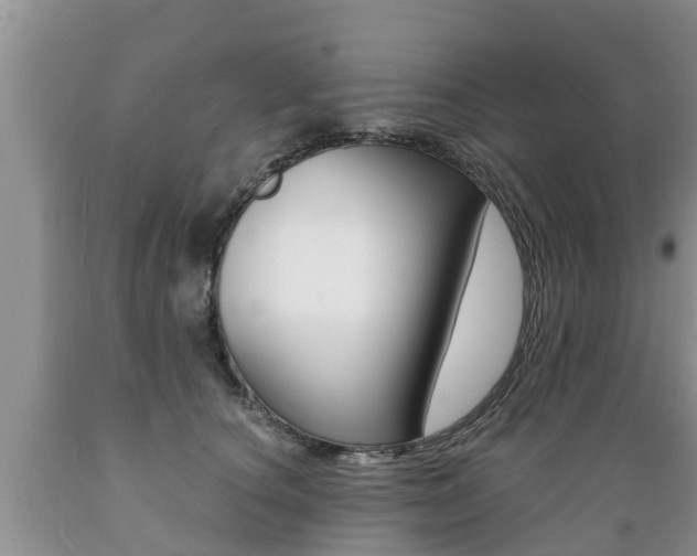 X0000089730660200706210917