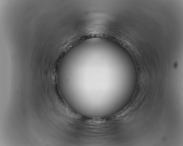 X0000089730661200706210917