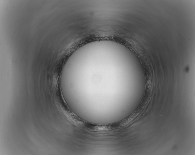X0000089730662200706210917
