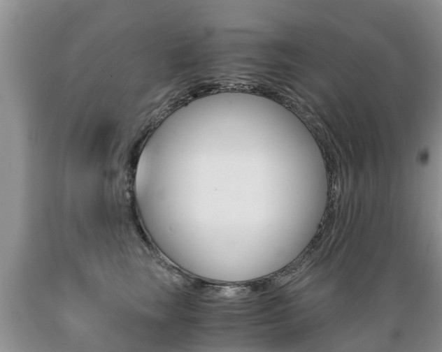 X0000089730663200706210917