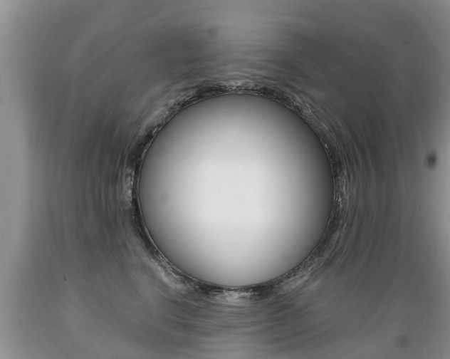 X0000089730664200706210917