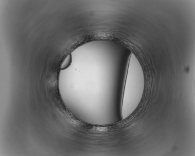 X0000089730665200706210917