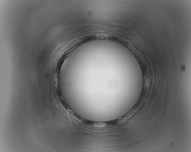 X0000089730666200706210917