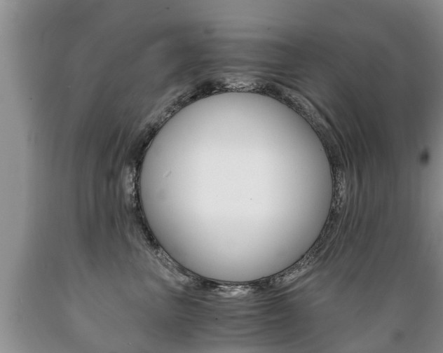 X0000089730667200706210917