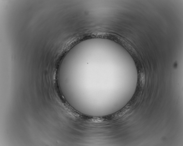X0000089730668200706210917