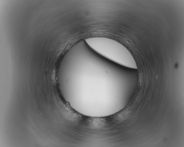 X0000089730670200706210917
