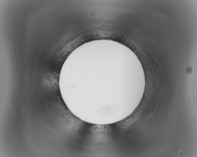 X0000089730672200706210917