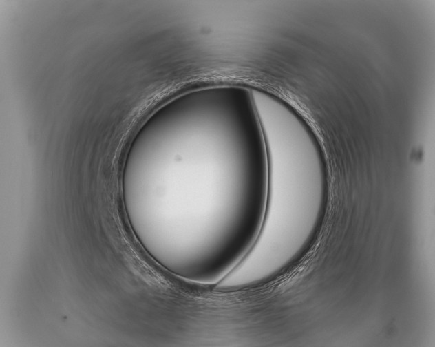 X0000089730673200706210917