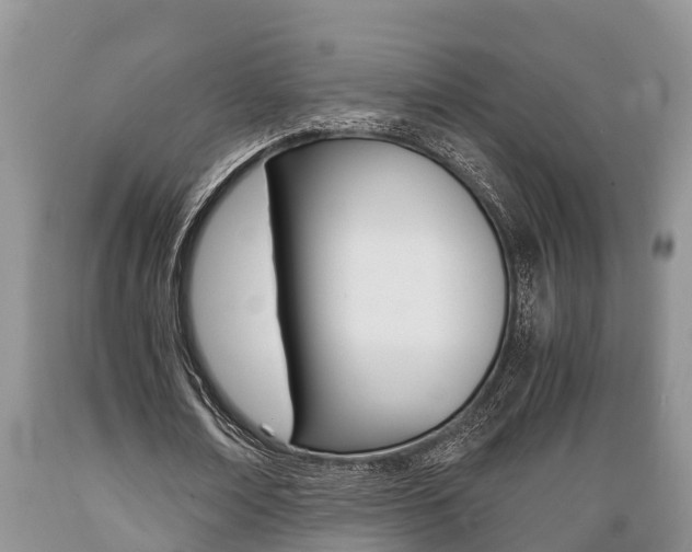 X0000089730674200706210917