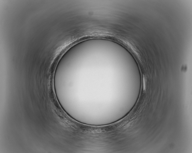 X0000089730675200706210917