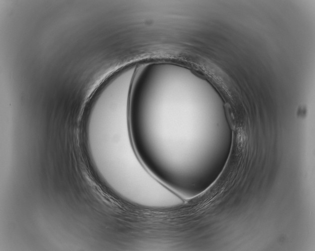 X0000089730676200706210917