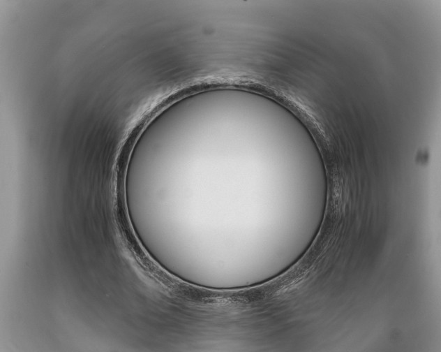 X0000089730678200706210917