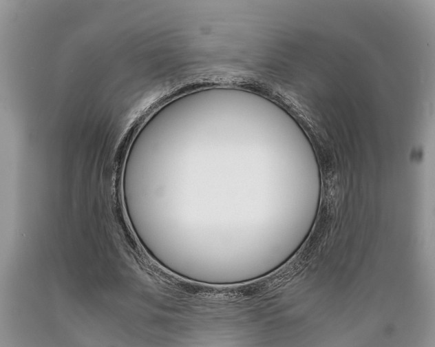 X0000089730679200706210917