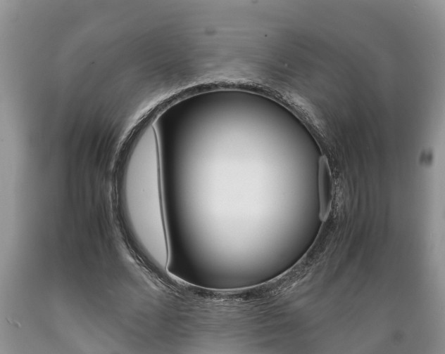 X0000089730680200706210917
