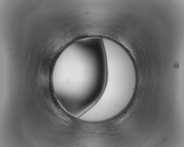 X0000089730681200706210917