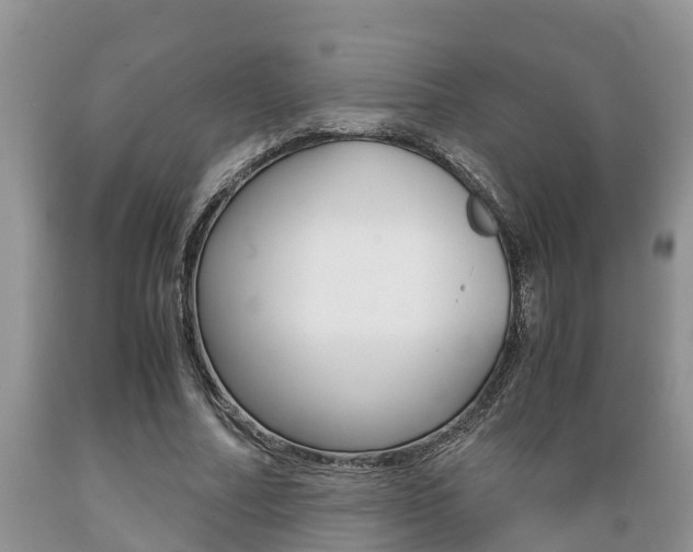 X0000089730682200706210917