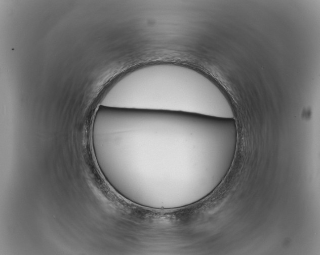 X0000089730683200706210917