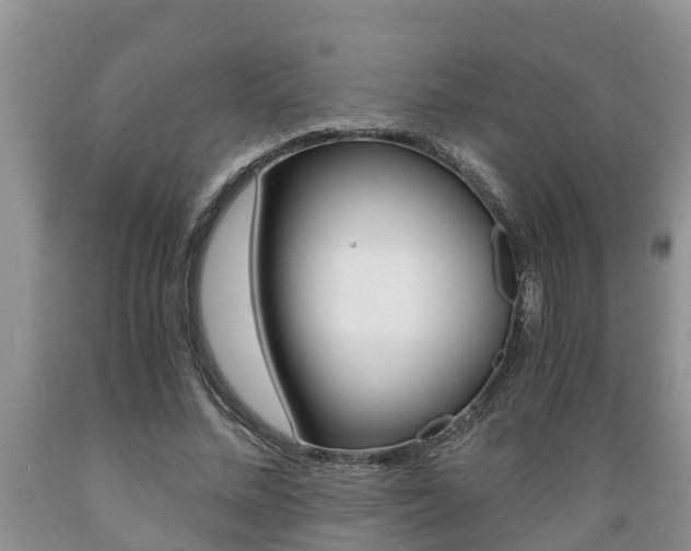 X0000089730684200706210917