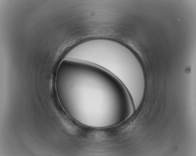 X0000089730685200706210917
