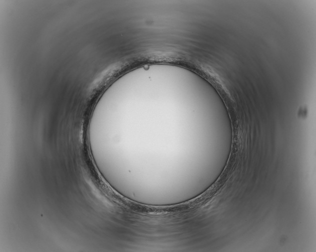 X0000089730686200706210916