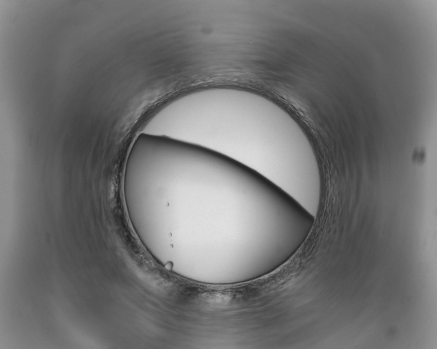 X0000089730687200706210916