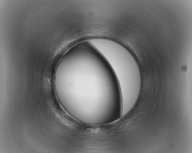 X0000089730688200706210916