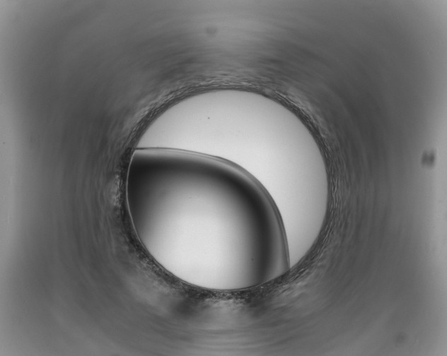 X0000089730689200706210916