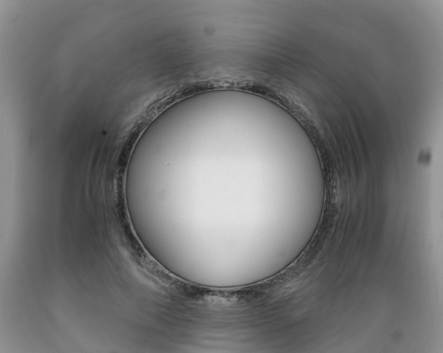 X0000089730690200706210916