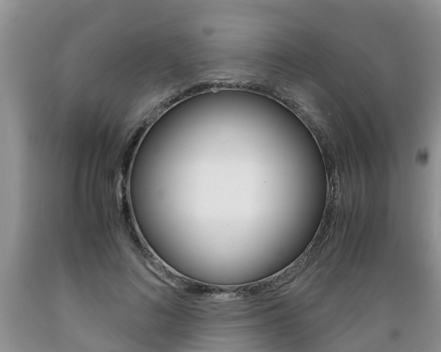 X0000089730692200706210916