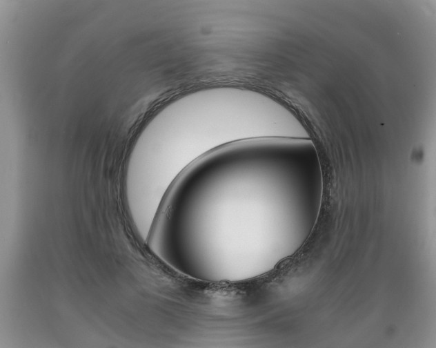 X0000089730693200706210916