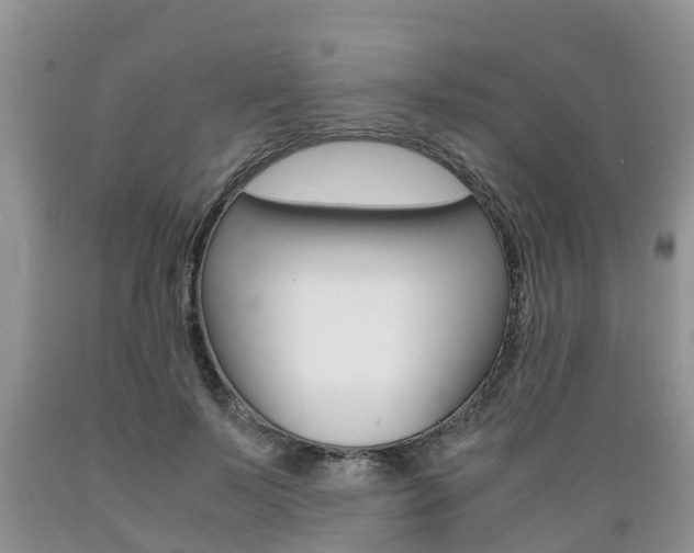 X0000089730695200706210916