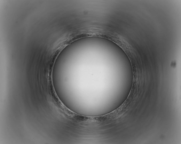 X0000089730696200706210916