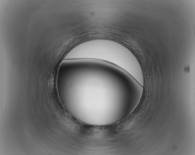 X0000089730697200706210916