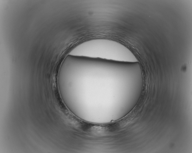 X0000089730699200706210916