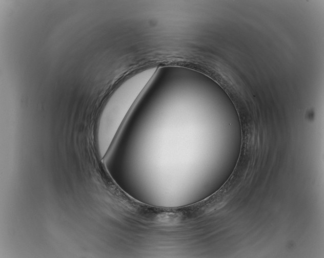 X0000089730700200706210916