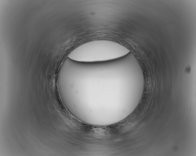 X0000089730703200706210916