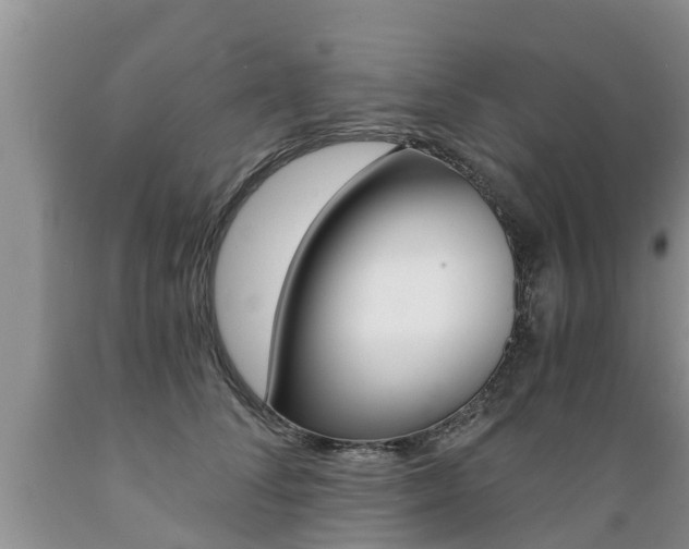 X0000089730708200706210916