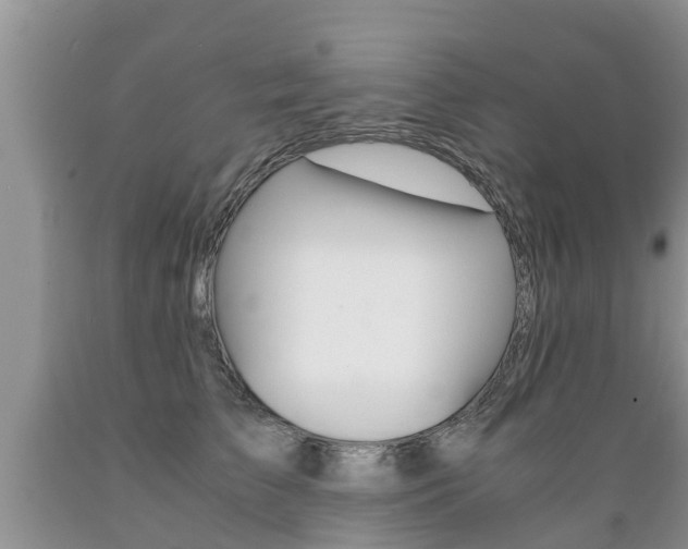 X0000089730709200706210916