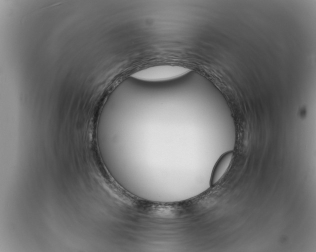 X0000089730710200706210916