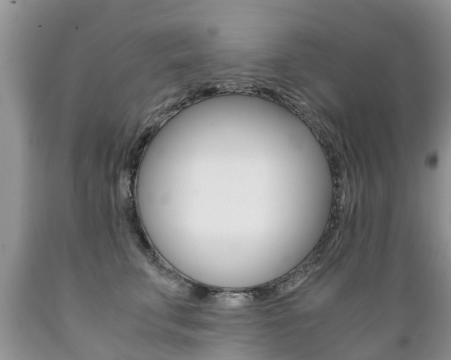 X0000089730711200706210916