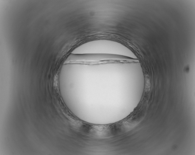 X0000089730713200706210916