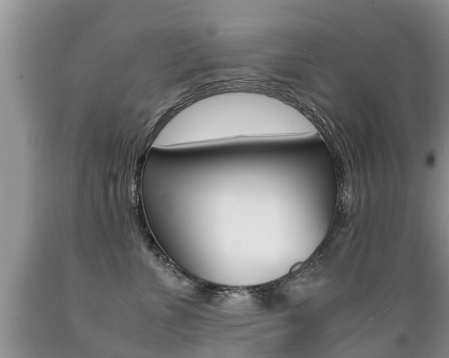 X0000089730715200706210916