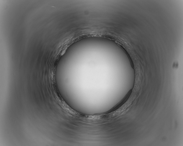 X0000089730720200706210916
