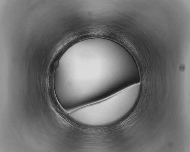 X0000089730722200706210915