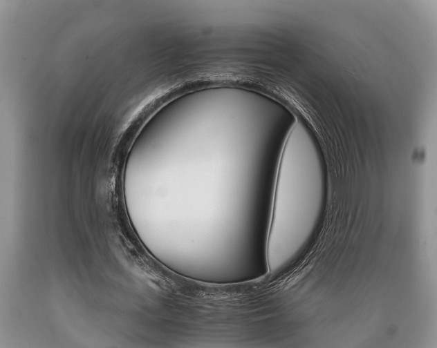 X0000089730723200706210915