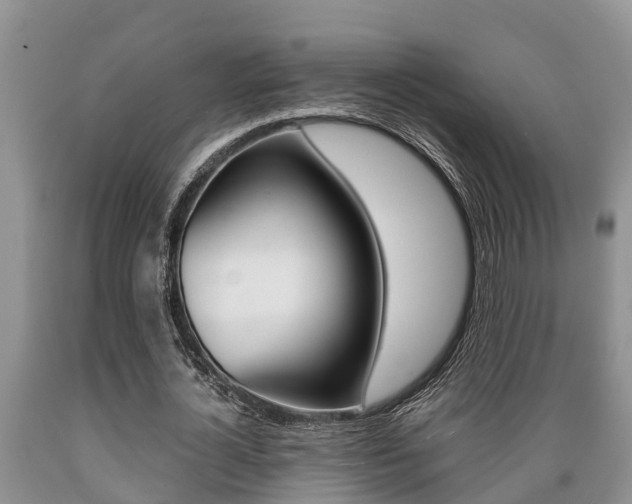 X0000089730724200706210915