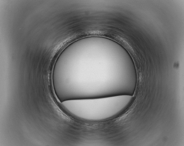 X0000089730725200706210915